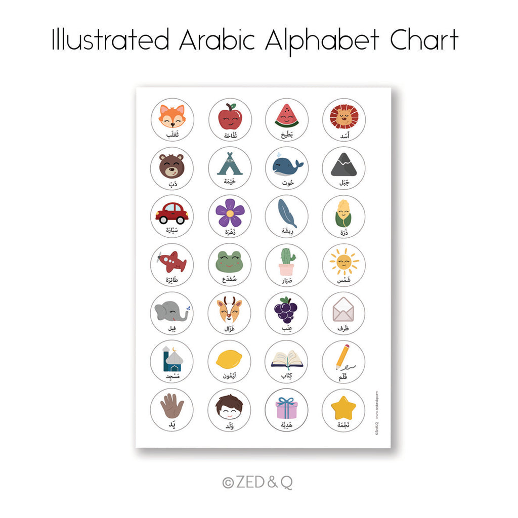 Arabic | Illustrated Alphabet